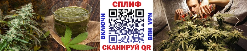 Еда ТГК марихуана Мышкин