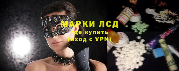 сатива Армянск