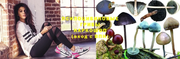 сатива Армянск